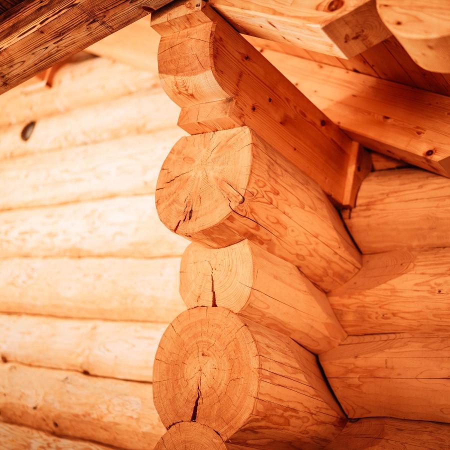 Im Weidach Superior Chalets Leutasch Ngoại thất bức ảnh